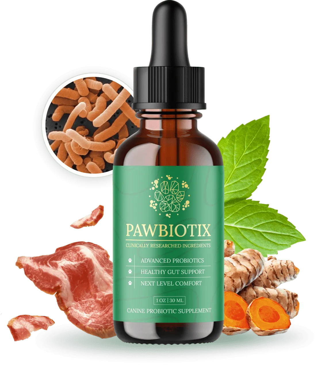 Pawbiotix Review 2026: Does This Dog Probiotic Work?