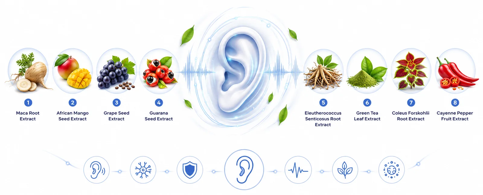 AudiLeaf Review: Does This Ear Supplement Work?