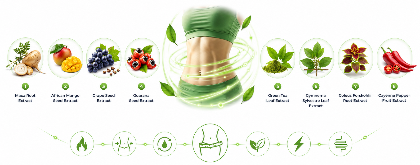 LipoBliss Review: Does This GLP Support Work?